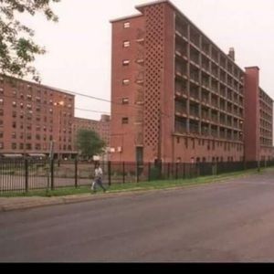 Meet your Posher, Ronnie